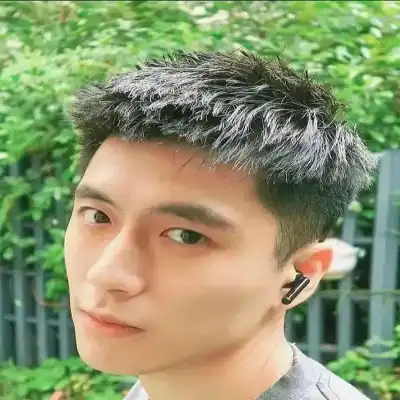 皮榕